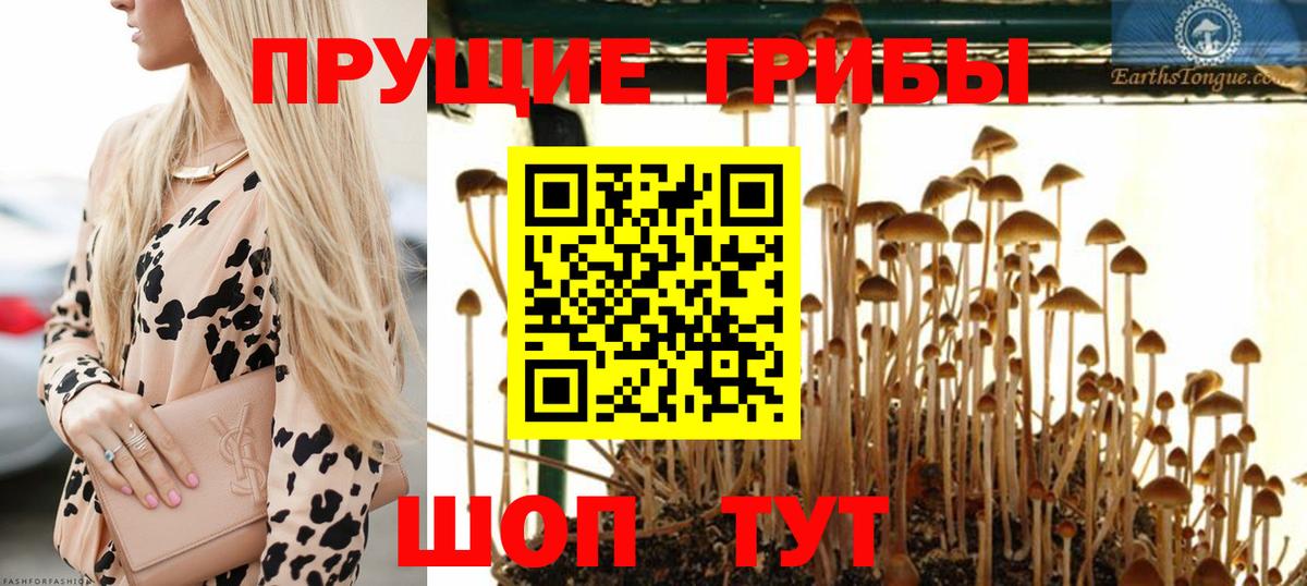 Галлюциногенные грибы прущие грибы Салехард