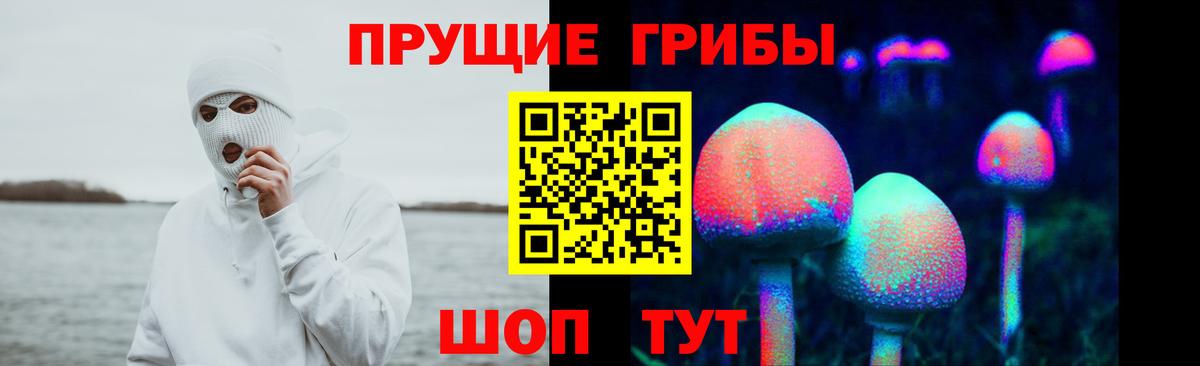 Псилоцибиновые грибы прущие грибы  Псилоцибиновые грибы GOLDEN TEACHER  Салехард  Вход с VPN 